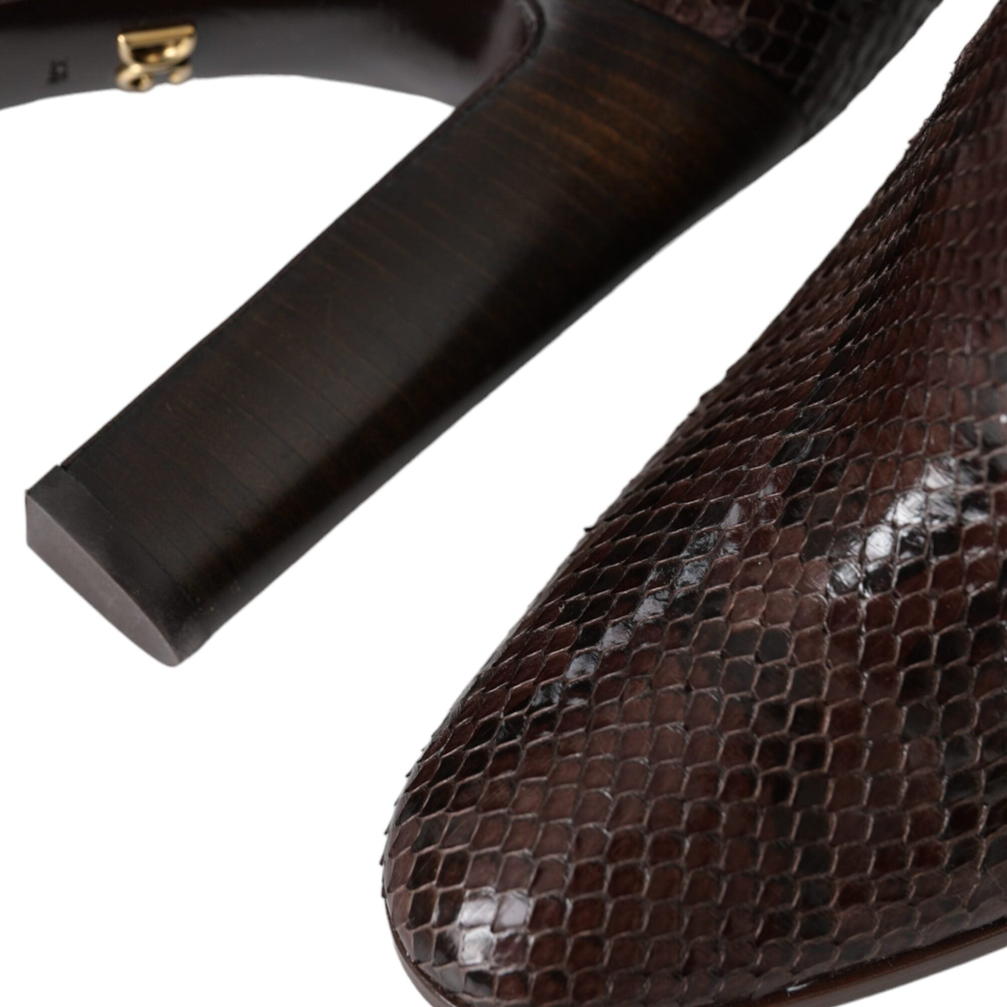 Dolce & Gabbana Brown Exotic Leather Knee High Boots