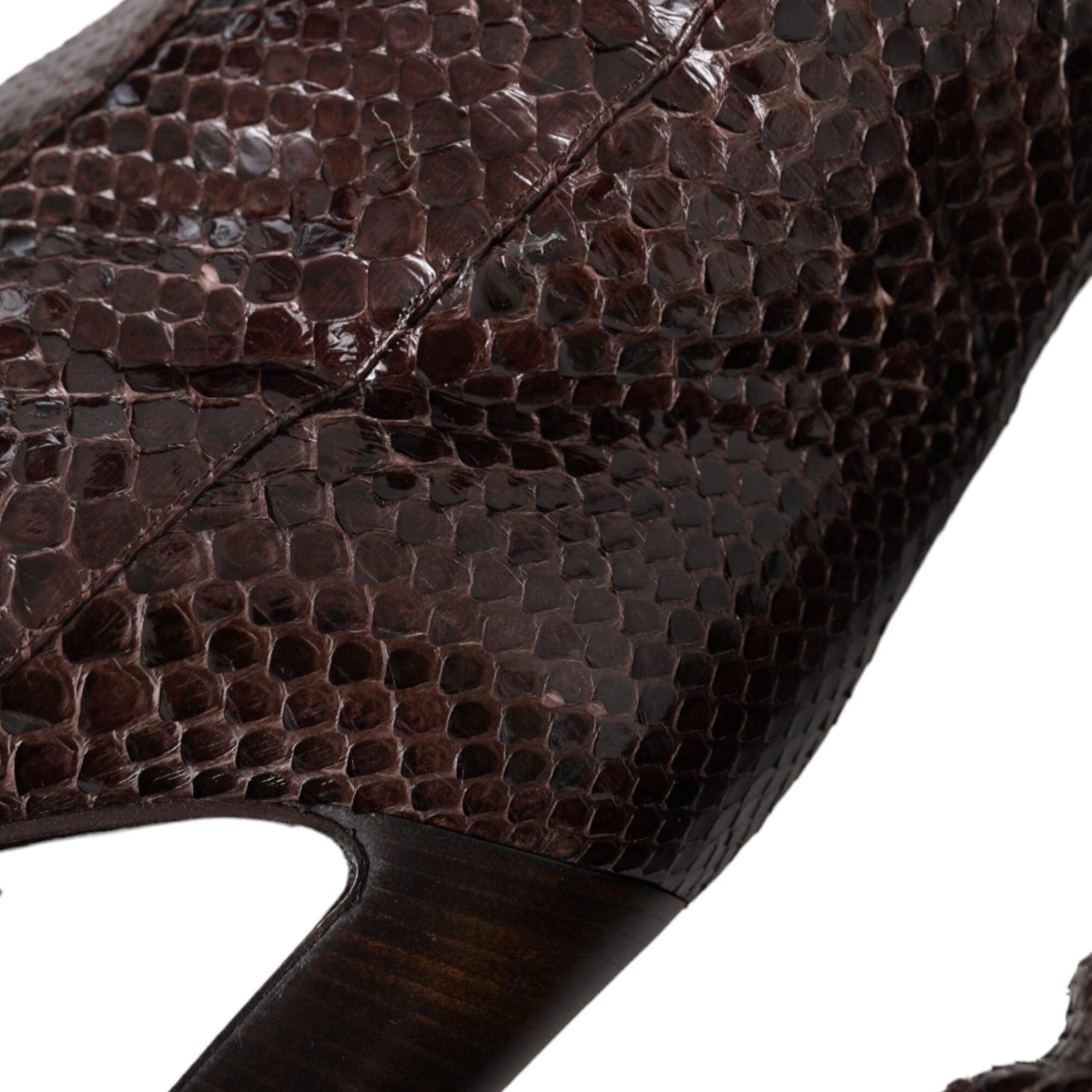 Dolce & Gabbana Brown Exotic Leather Knee High Boots