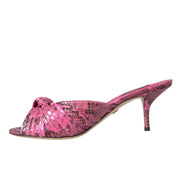 Dolce & Gabbana Pink Exotic Leather Kitten Heels Slides Shoes