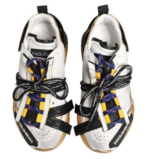Dolce & Gabbana Multicolor Daymaster Low Top Sneakers Shoes